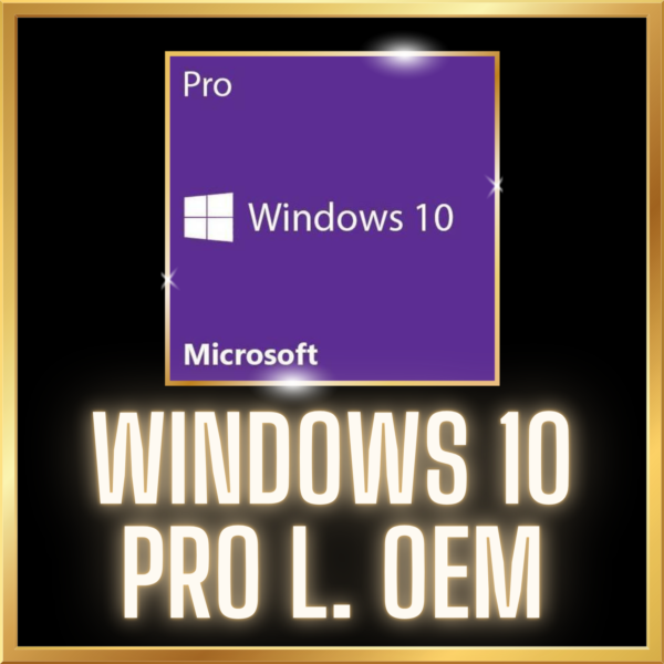 WINDOWS 10 PRO OEM