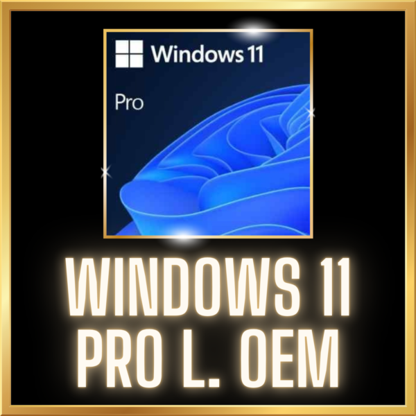 WINDOWS 11 PRO OEM