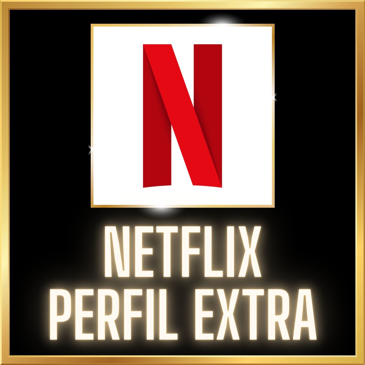 NETFLIX PERFIL EXTRA
